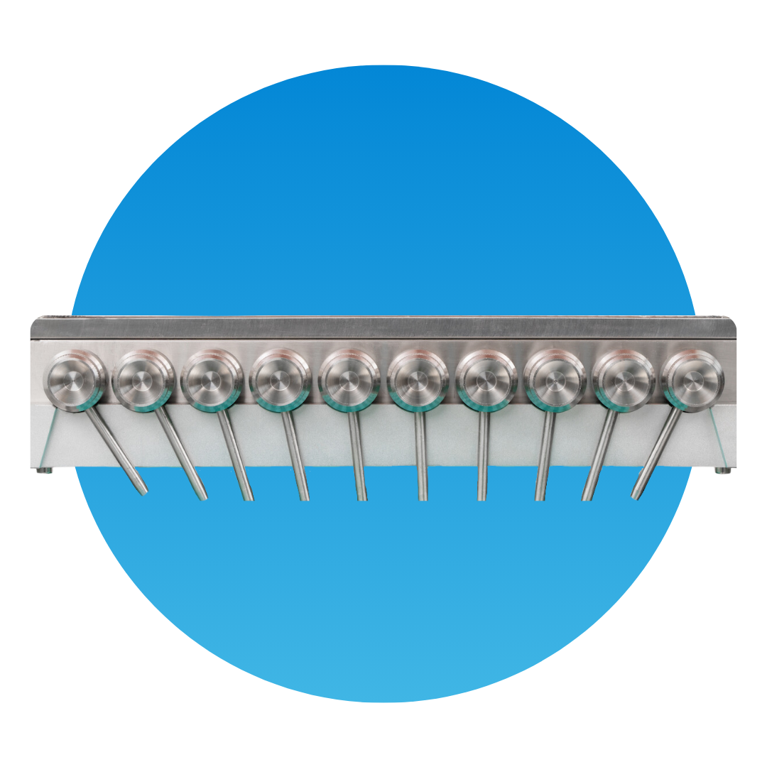 Picture of the author