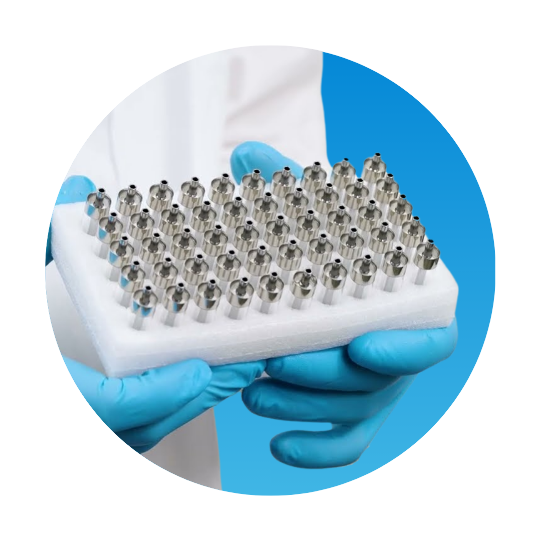 Picture of the author