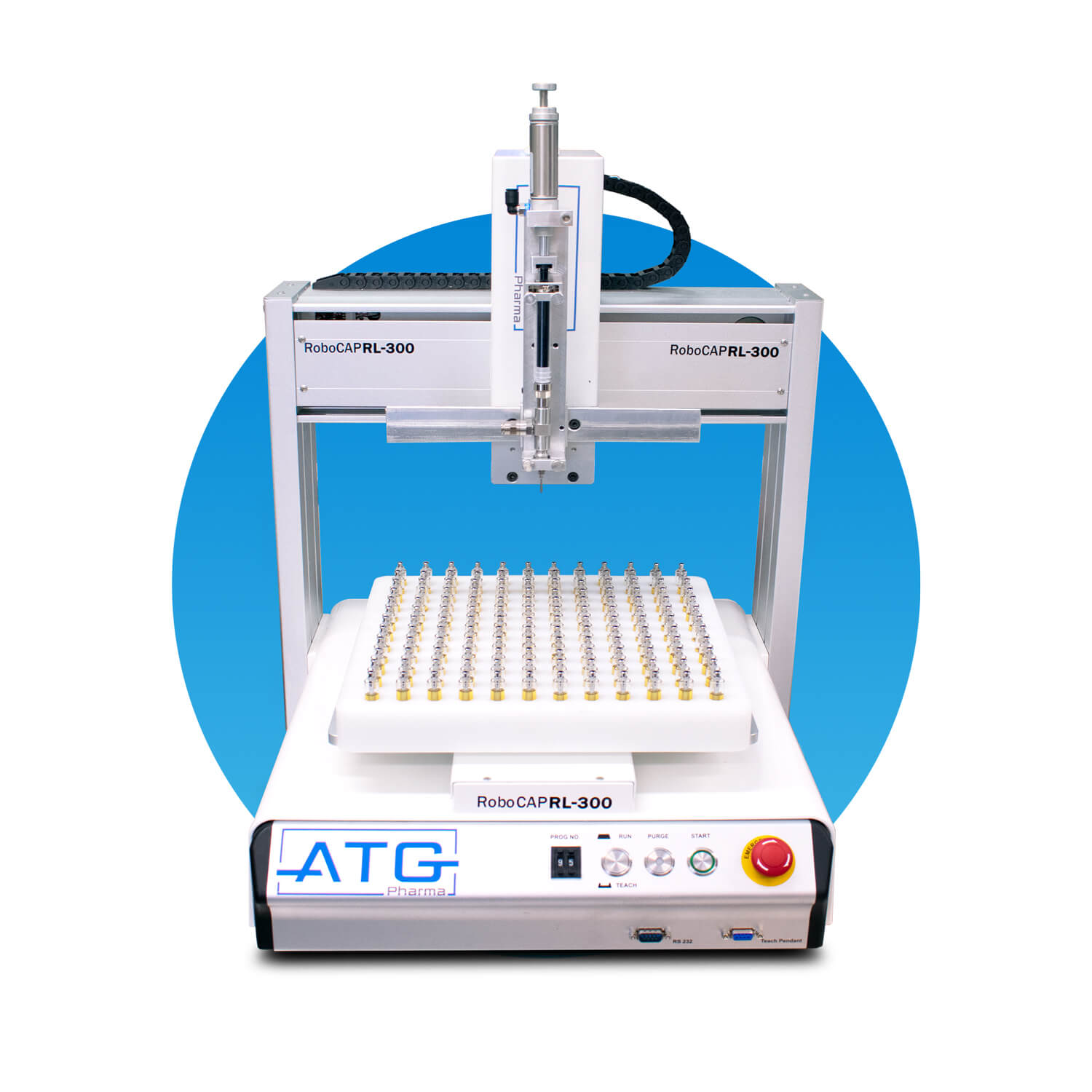 Picture of the author