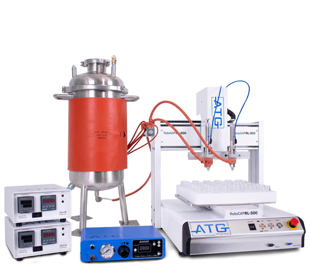 Picture of the author