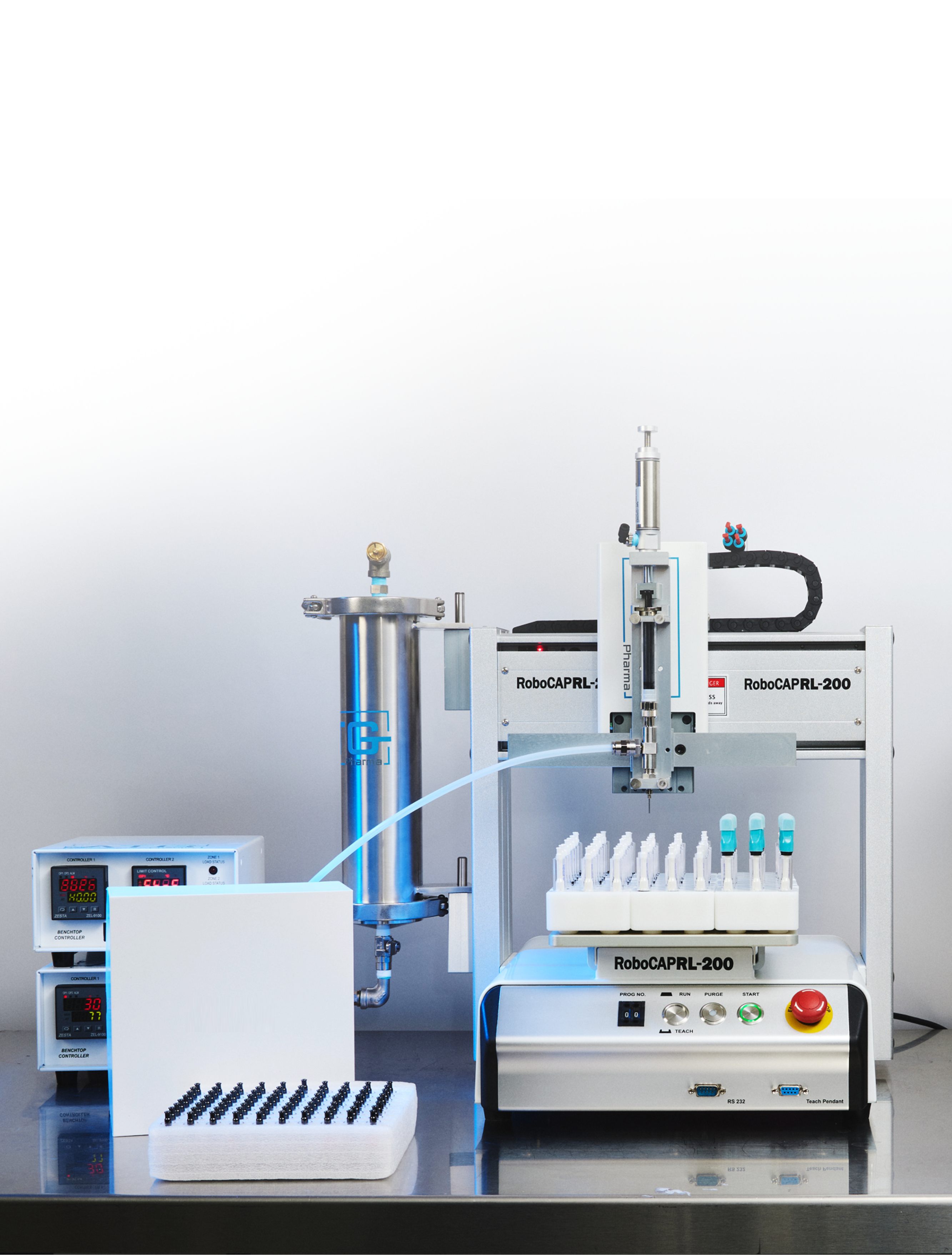 Picture of the author