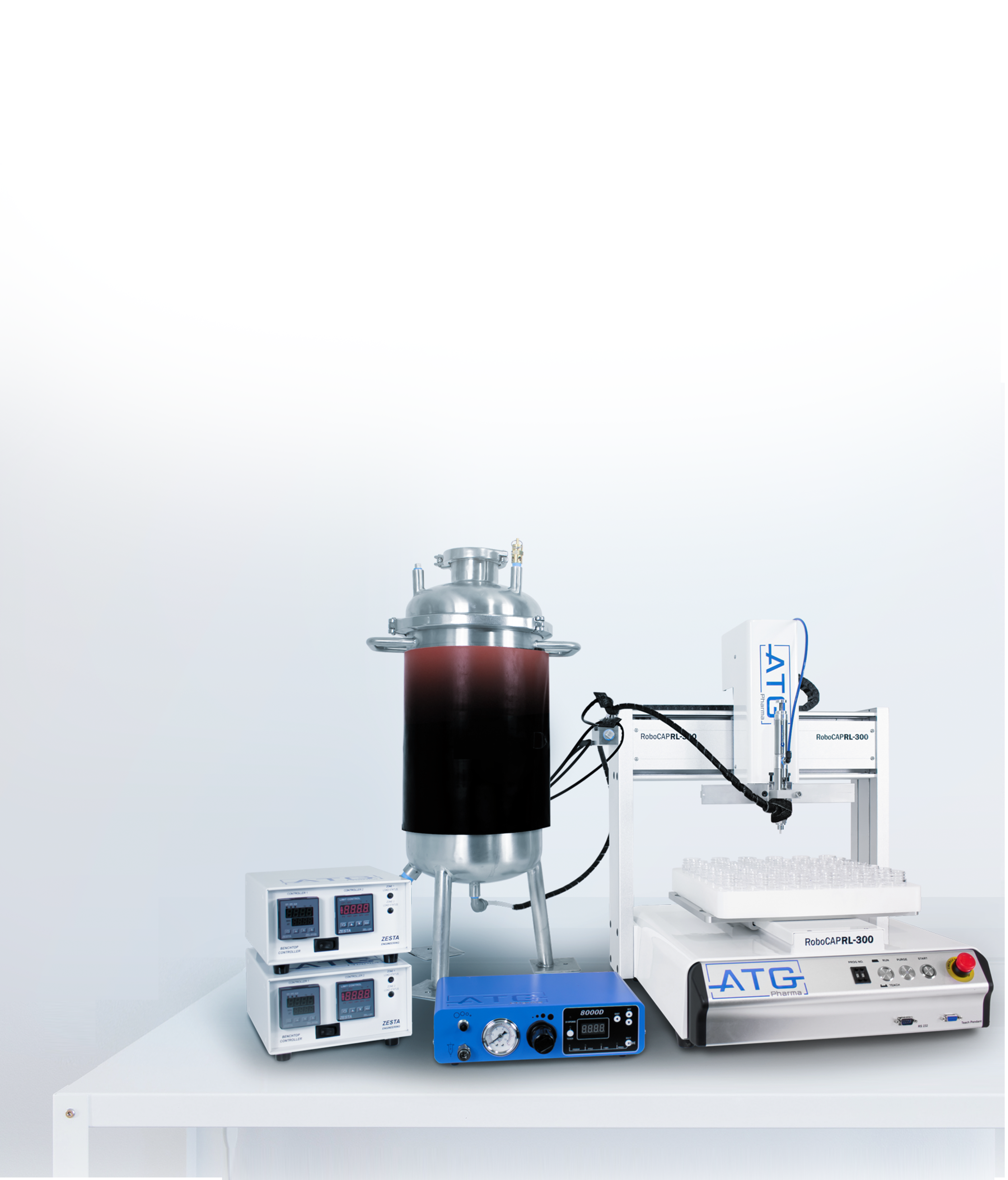 Picture of the author