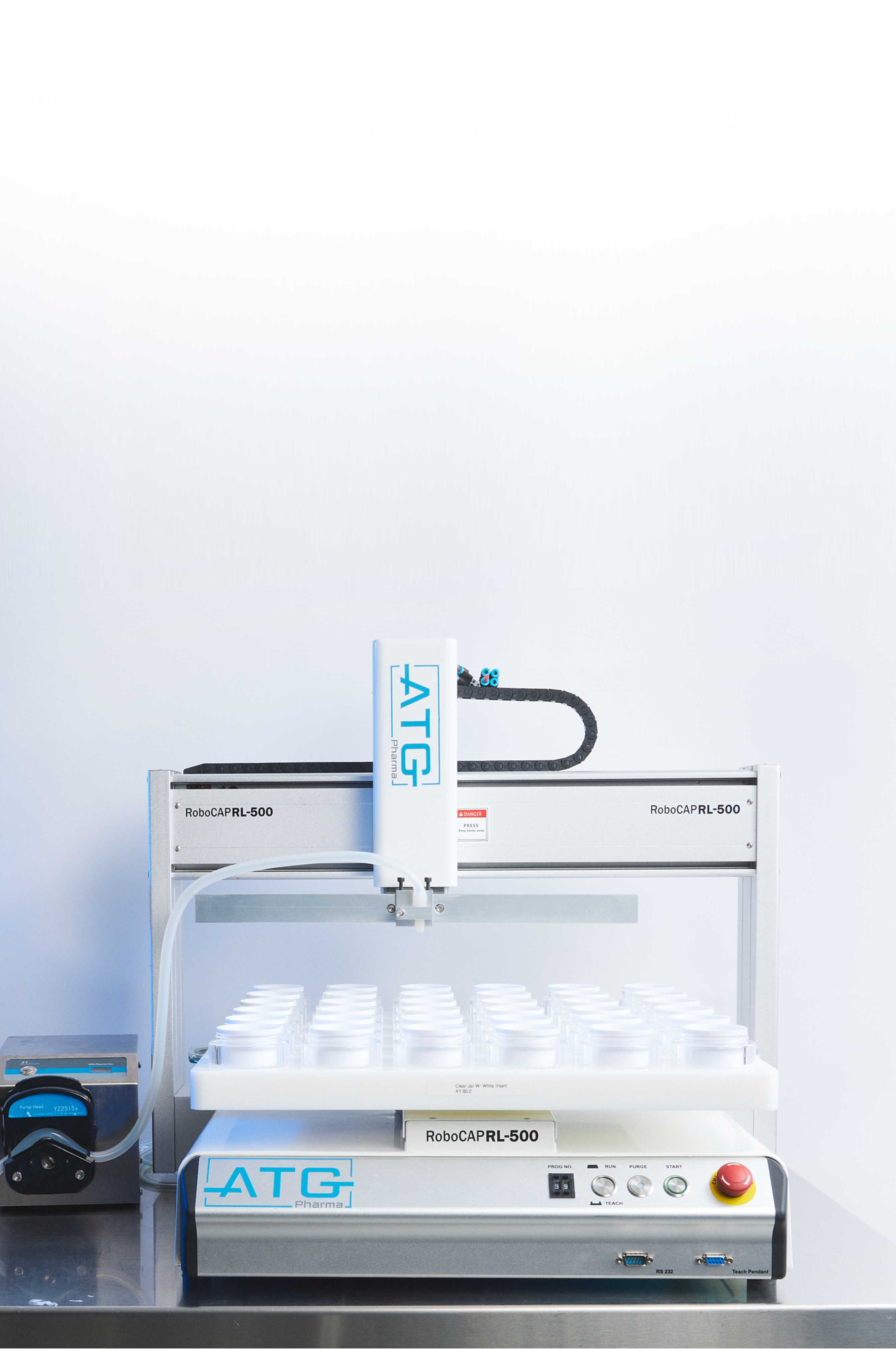 Picture of the author