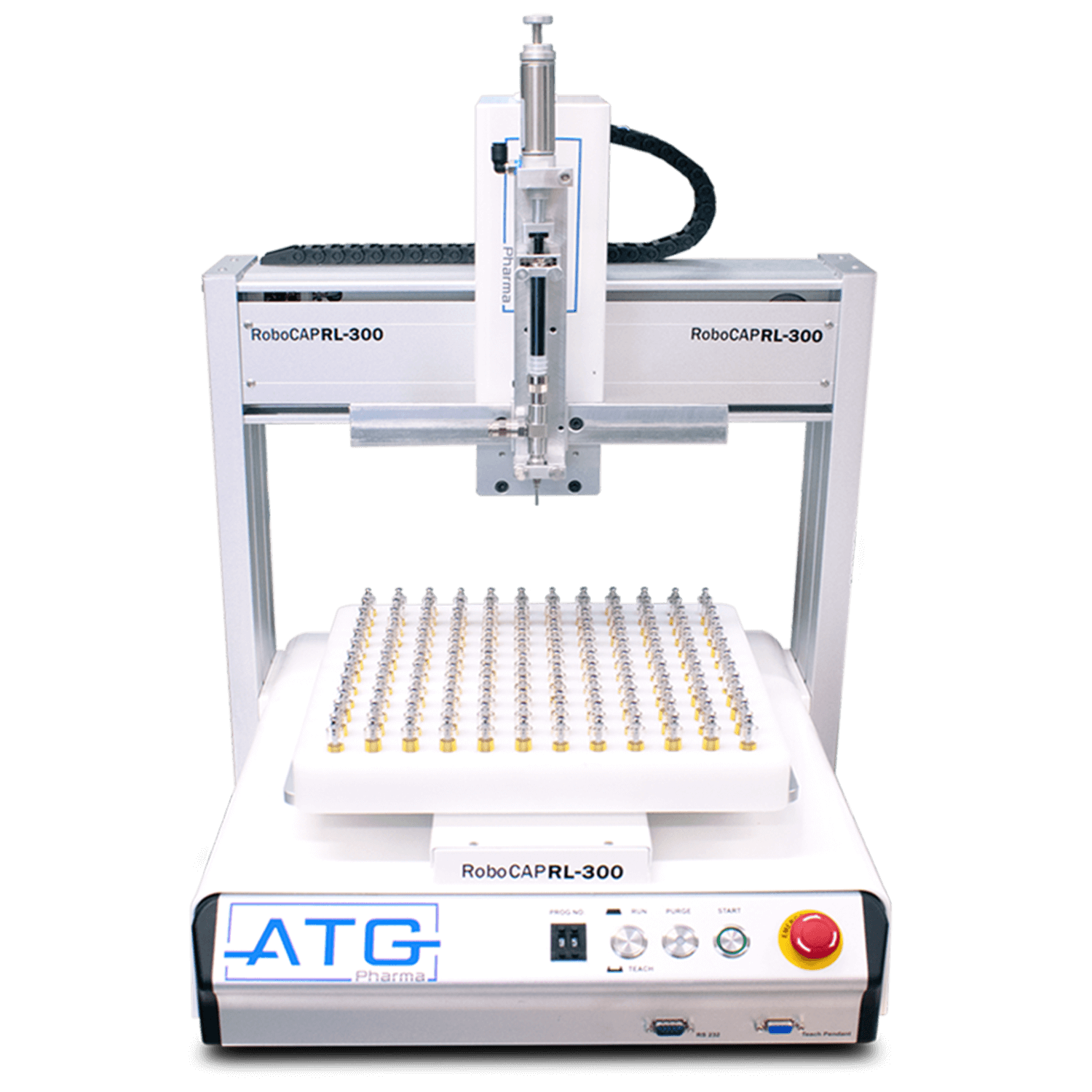 Picture of the author