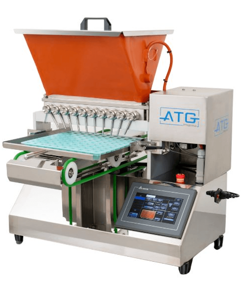 Picture of the author