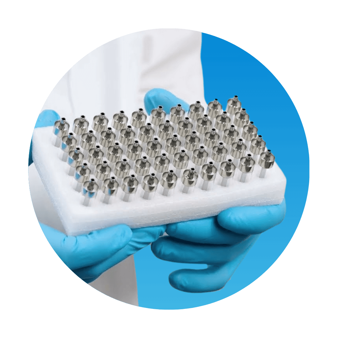 Picture of the author