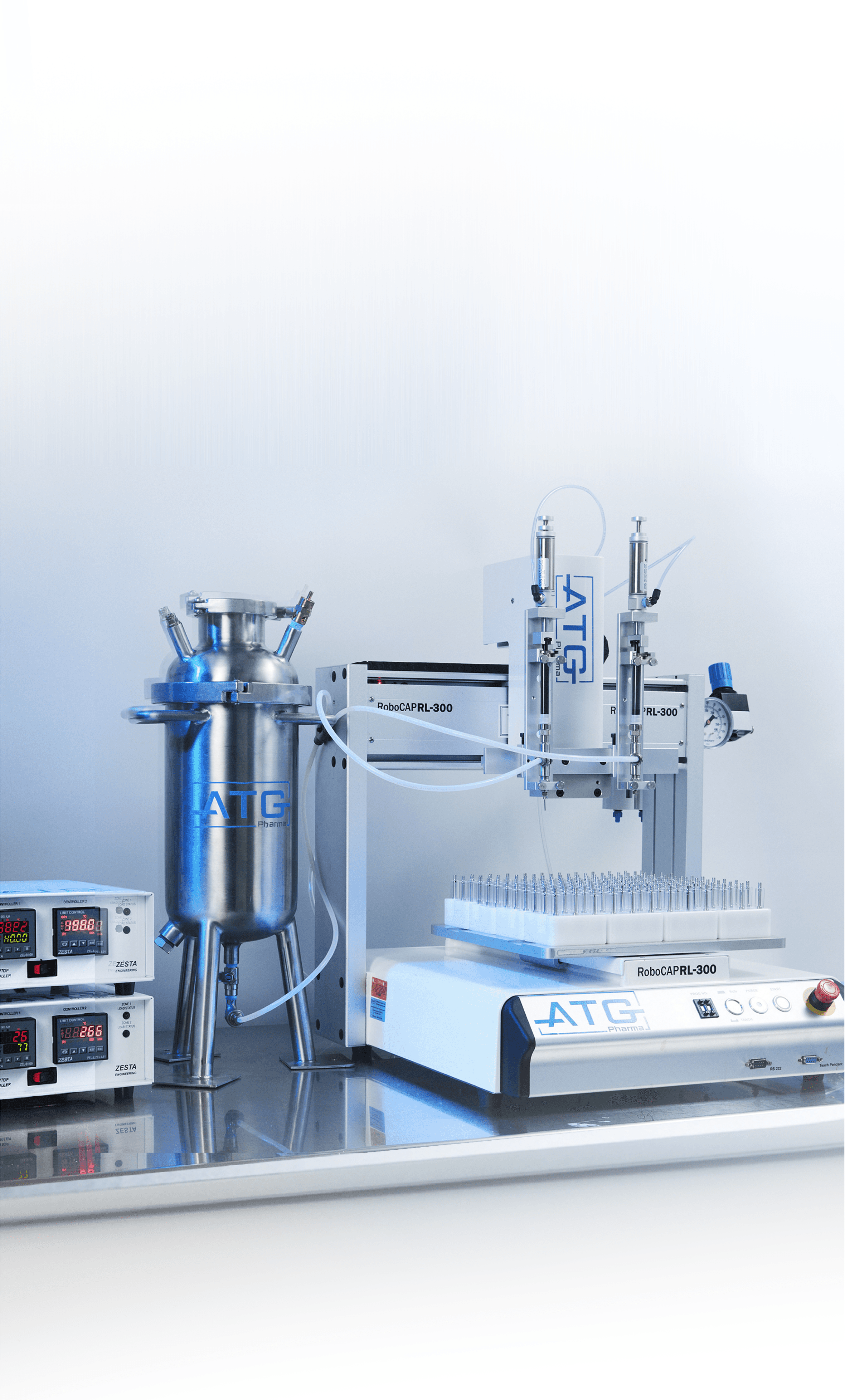 Picture of the author