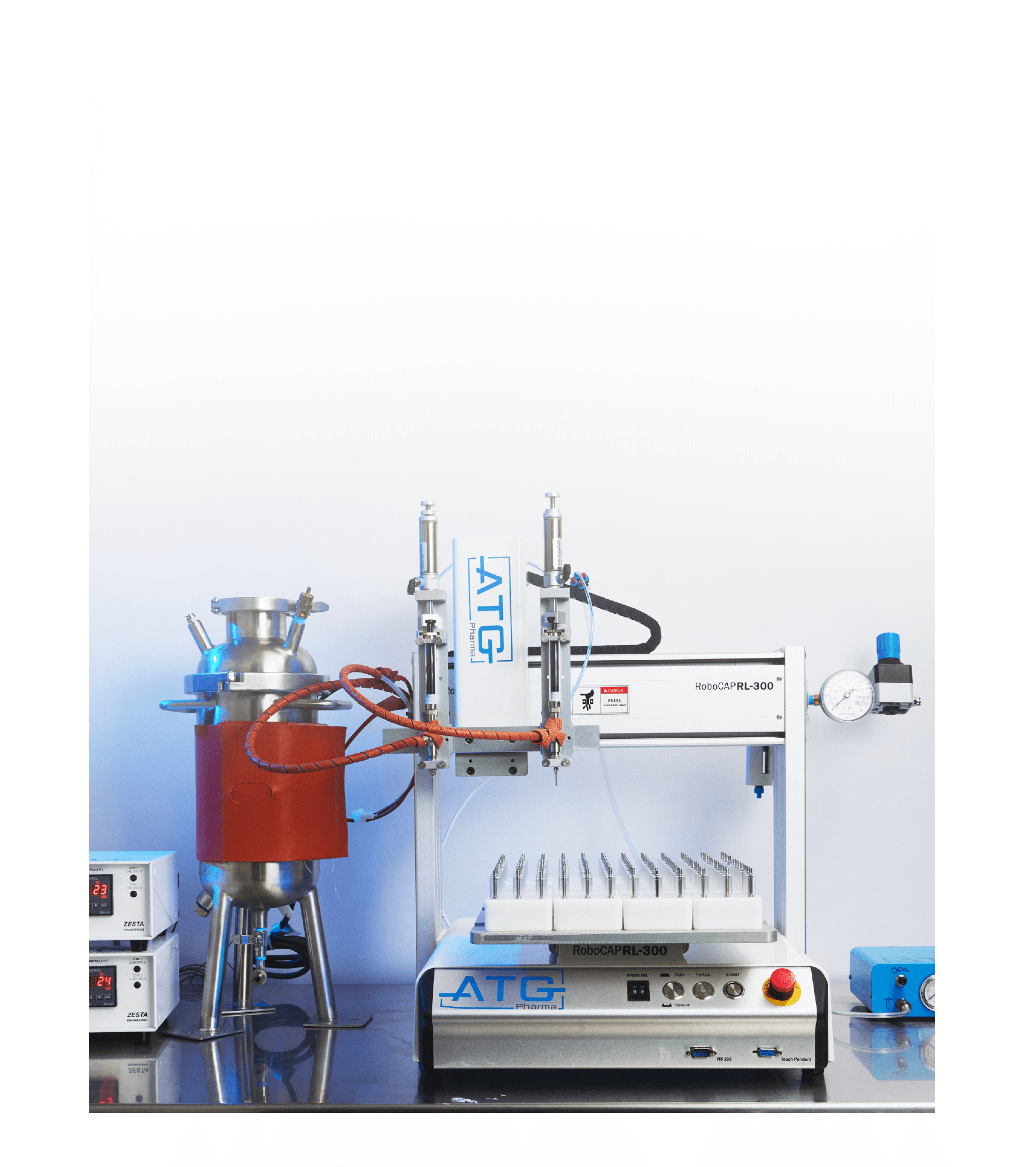 Picture of the author