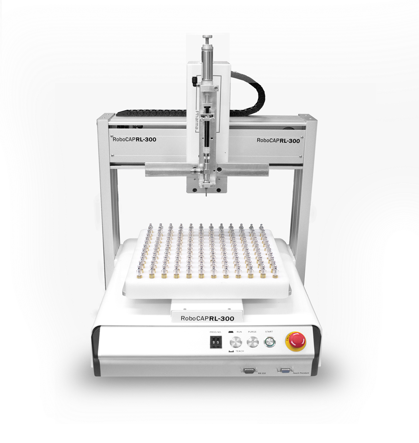 Picture of the author