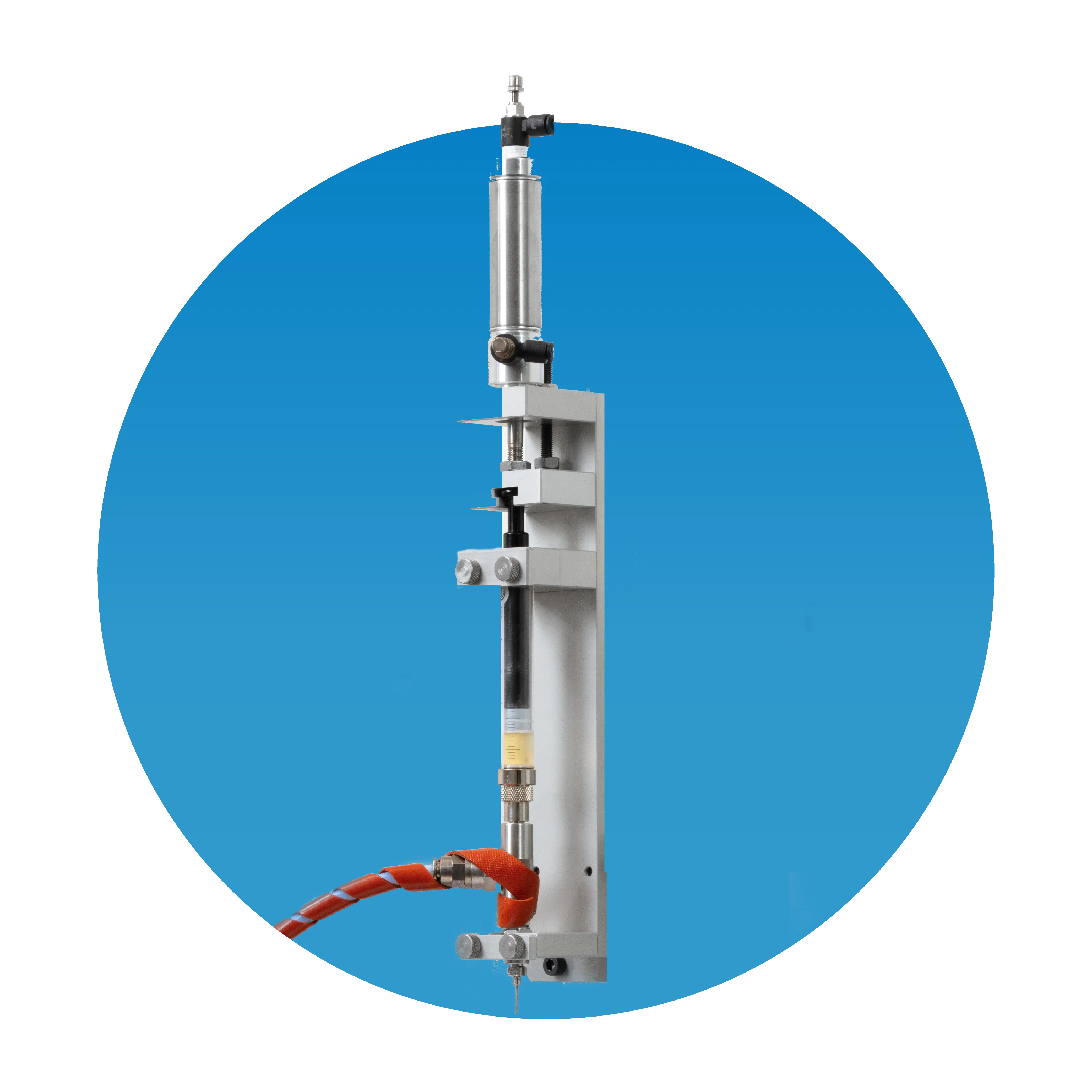 Picture of the author