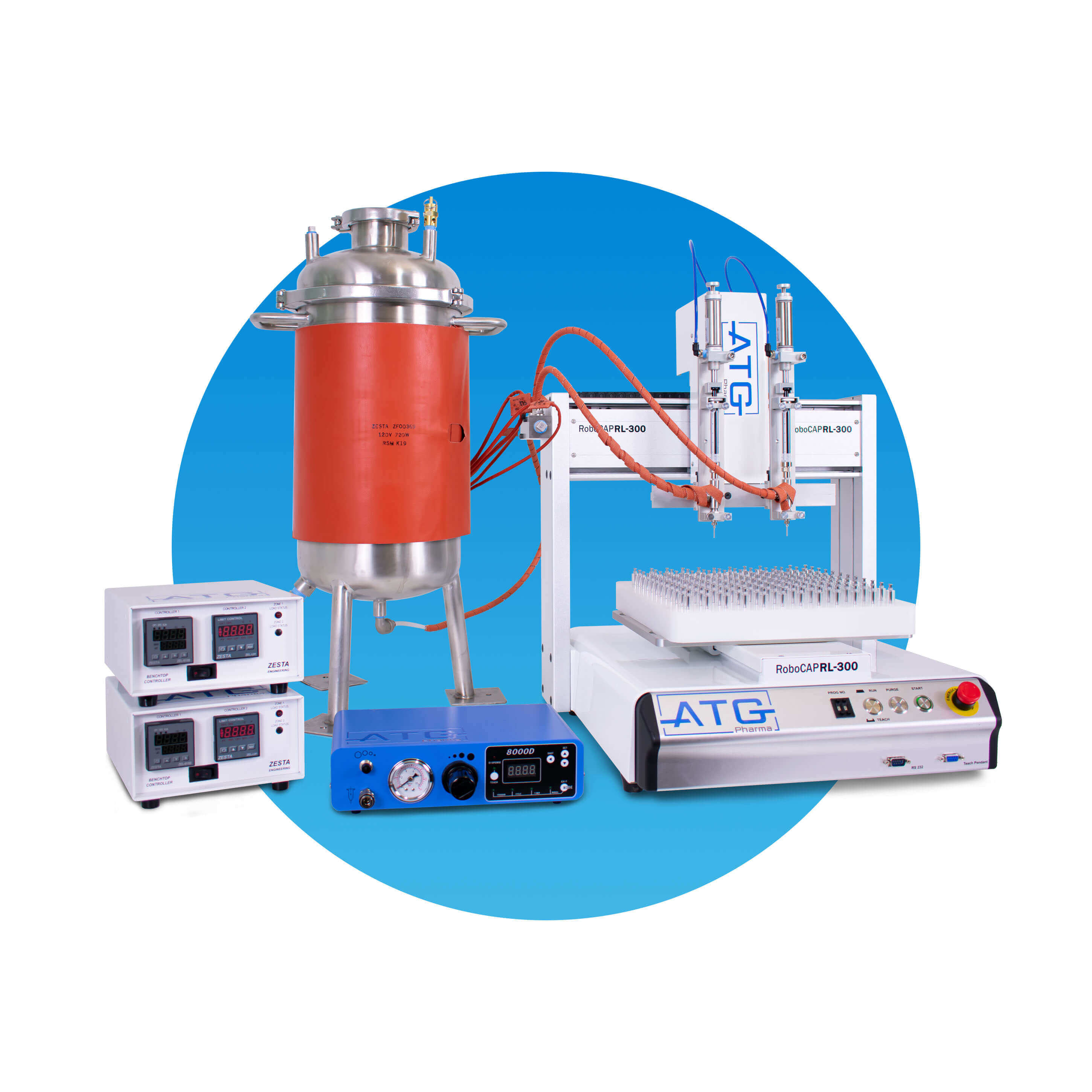 Picture of the author